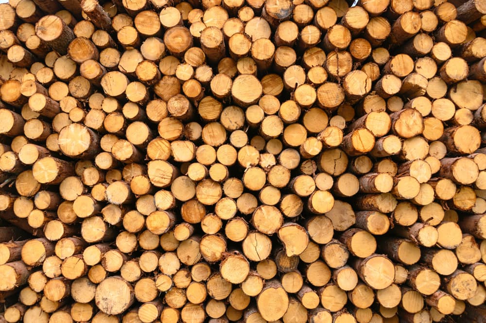 A lot of logs